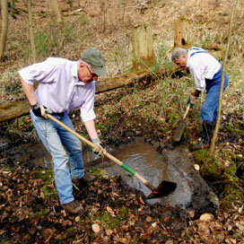 Tiefenbachgewässer